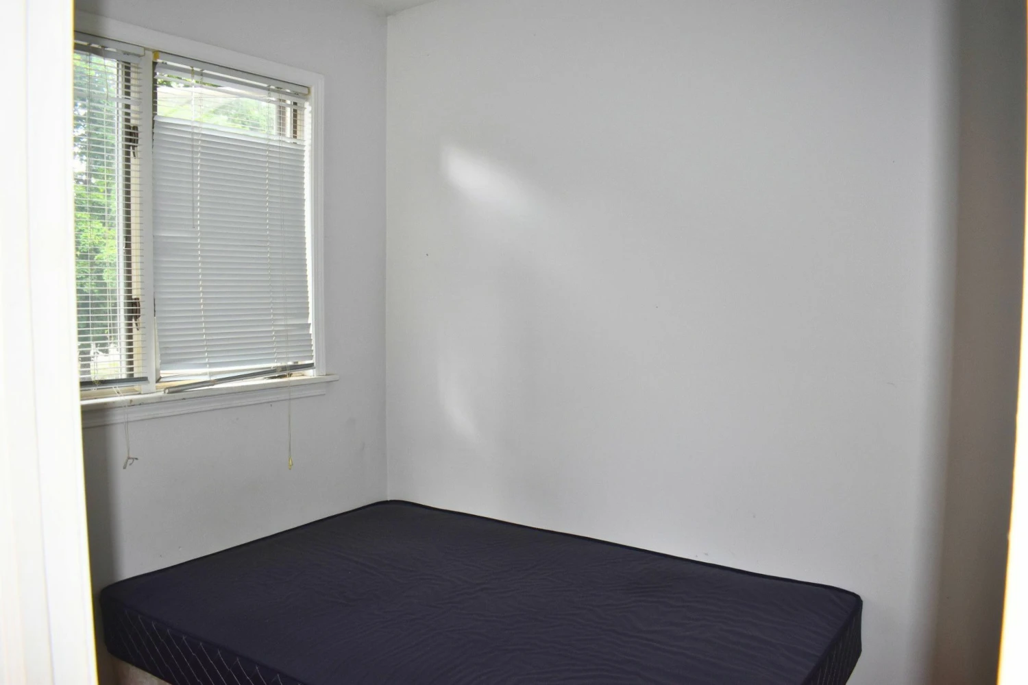 116 Murray St