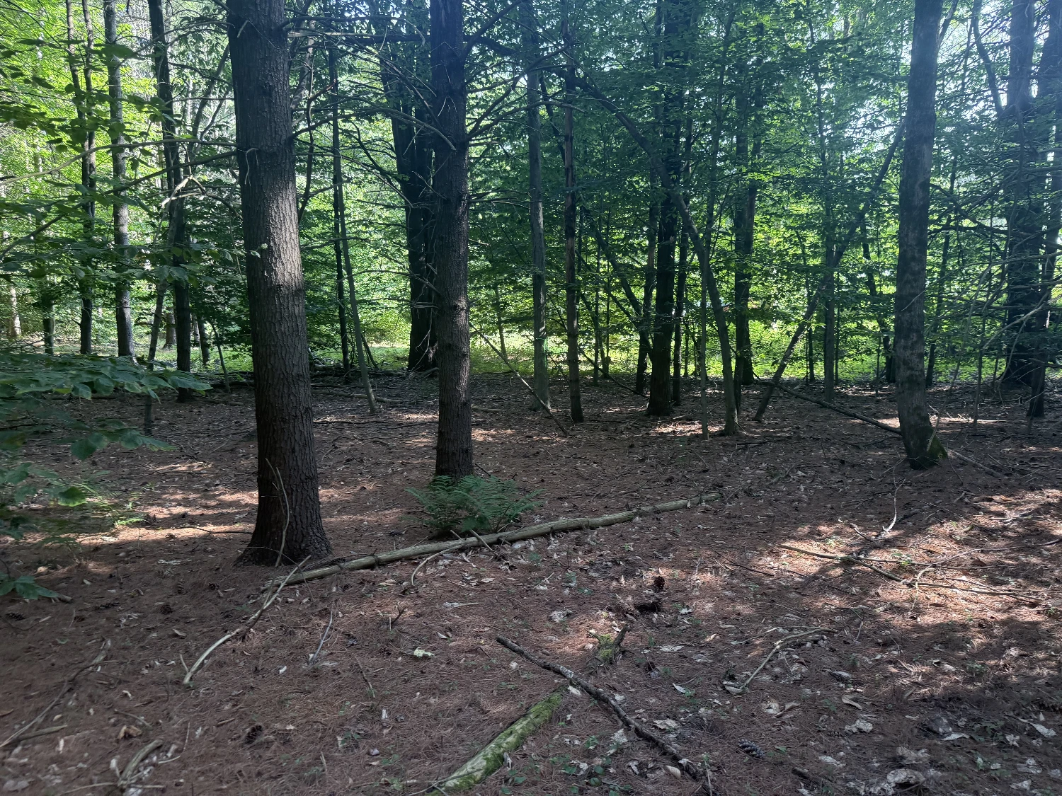 375 Ormsbee Rd, Porter Corners, NY for sale