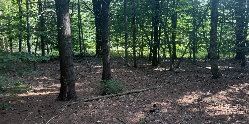 375 Ormsbee Rd, Porter Corners, NY for sale