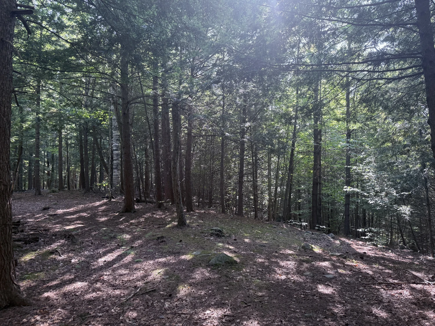 375 Ormsbee Rd, Porter Corners, NY for sale