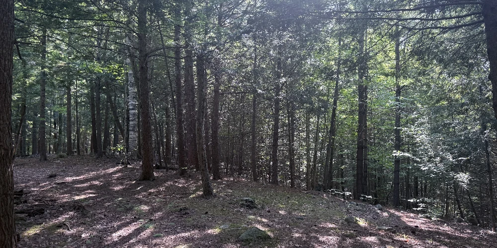 375 Ormsbee Rd, Porter Corners, NY for sale