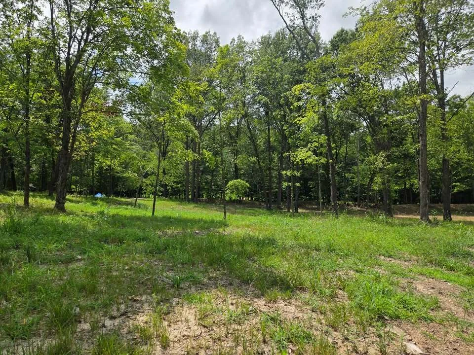 798 Wengler Road, Eureka, MO for sale