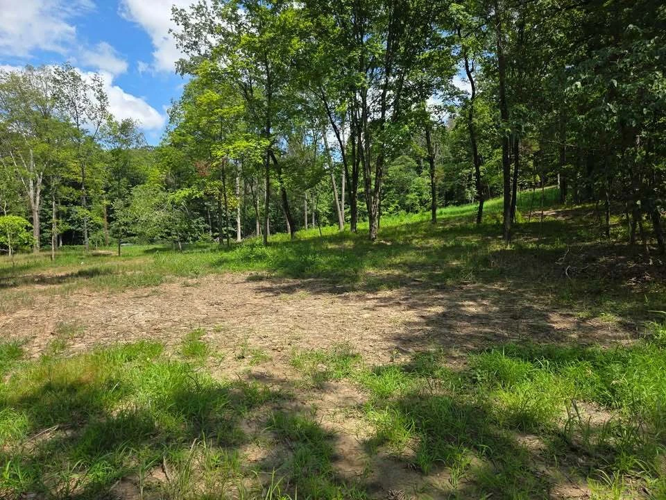 798 Wengler Road, Eureka, MO for sale