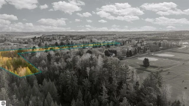 Prime 12-Acre Development or Investment Opportunity in Bellaire, MI