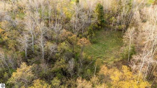 Prime 12-Acre Development or Investment Opportunity in Bellaire, MI