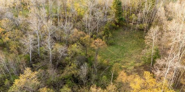 Prime 12-Acre Development or Investment Opportunity in Bellaire, MI