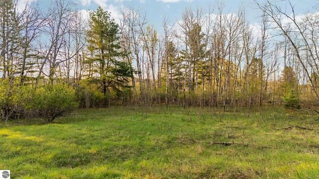 Prime 12-Acre Development or Investment Opportunity in Bellaire, MI