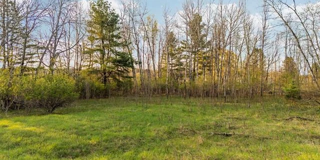 Prime 12-Acre Development or Investment Opportunity in Bellaire, MI