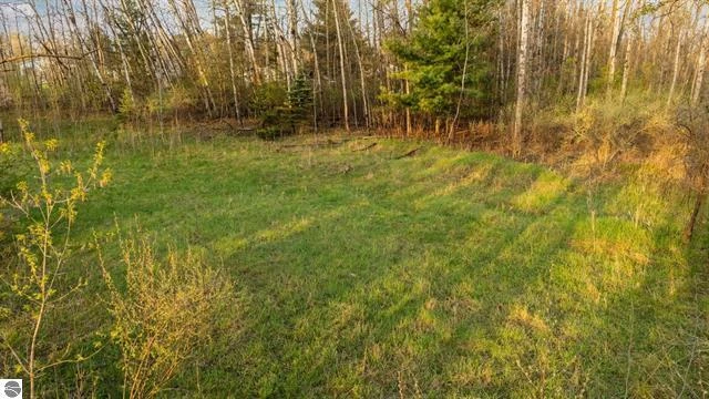 Prime 12-Acre Development or Investment Opportunity in Bellaire, MI