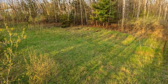 Prime 12-Acre Development or Investment Opportunity in Bellaire, MI