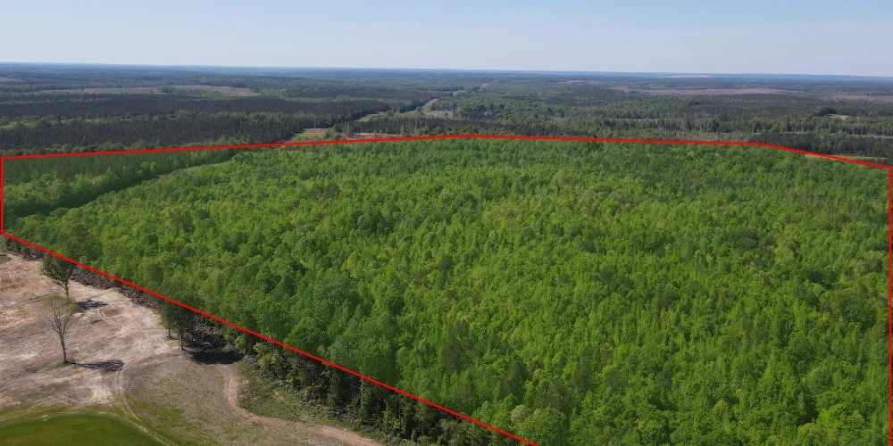 +/-160 Acres Recreation or Timberland