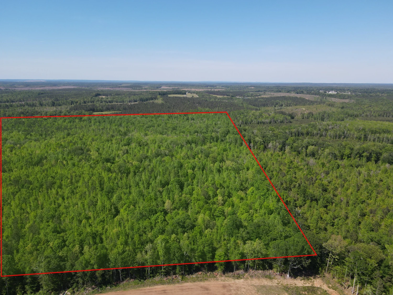 +/-160 Acres Recreation or Timberland