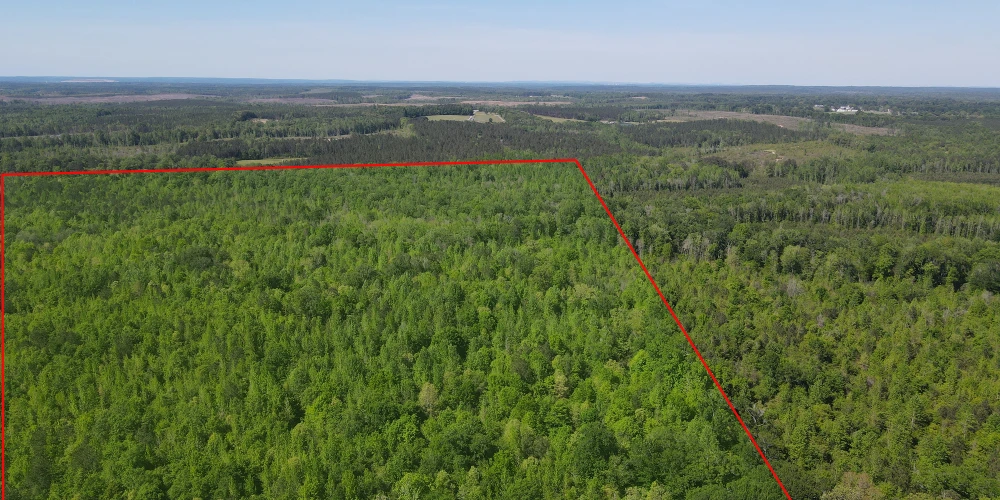 +/-160 Acres Recreation or Timberland