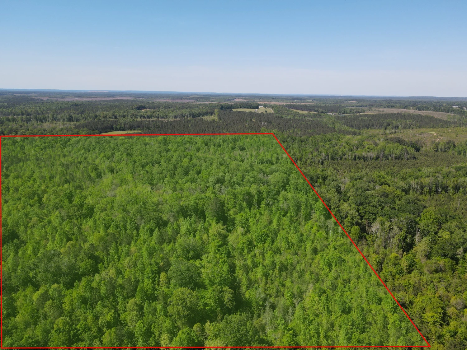 +/-160 Acres Recreation or Timberland