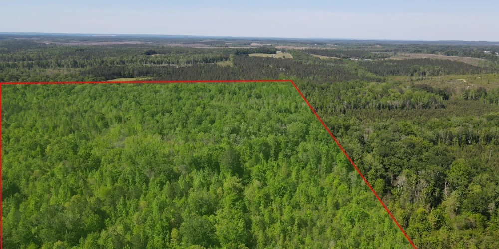 +/-160 Acres Recreation or Timberland
