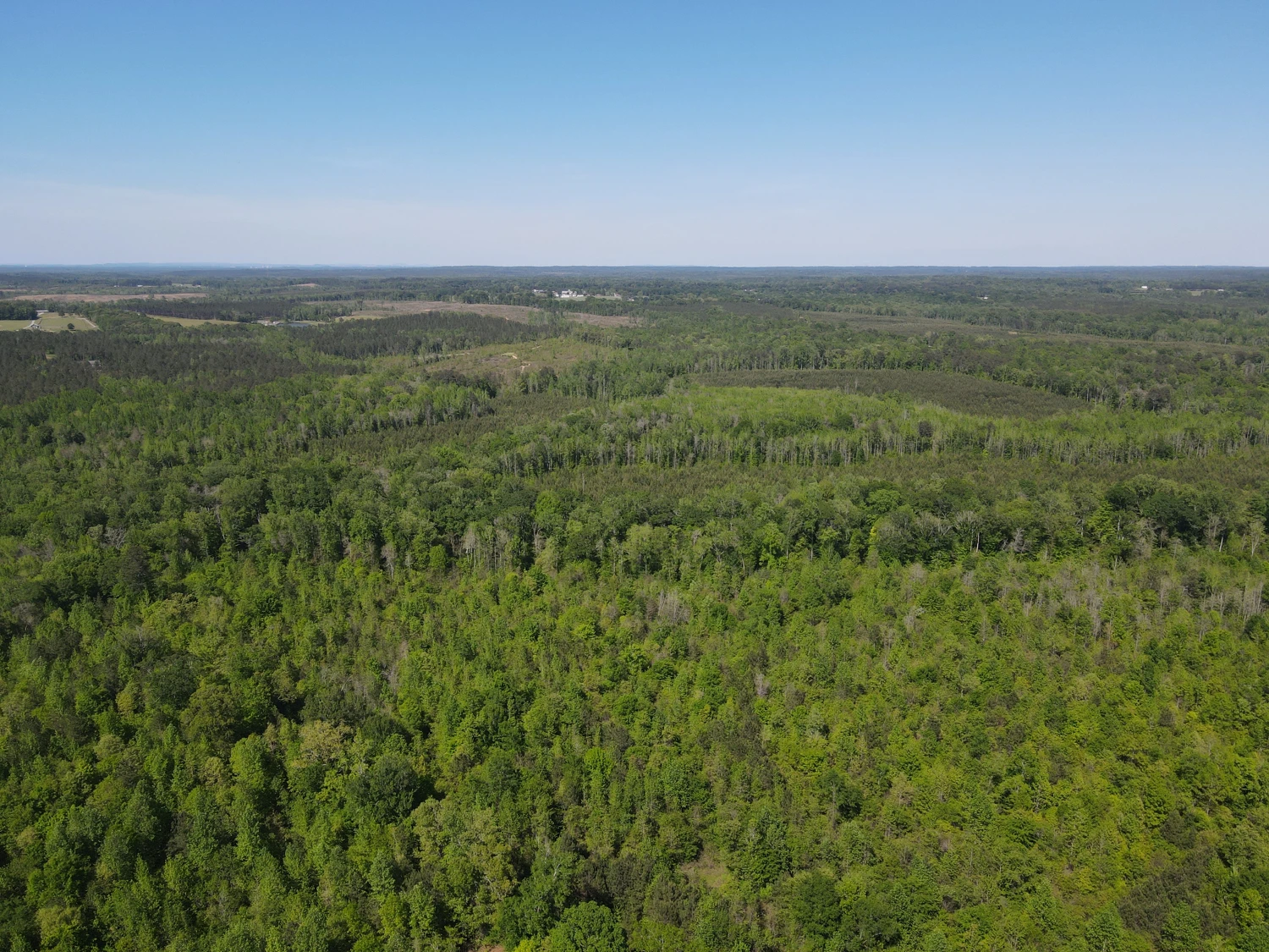 +/-160 Acres Recreation or Timberland