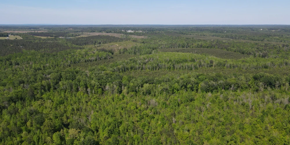 +/-160 Acres Recreation or Timberland