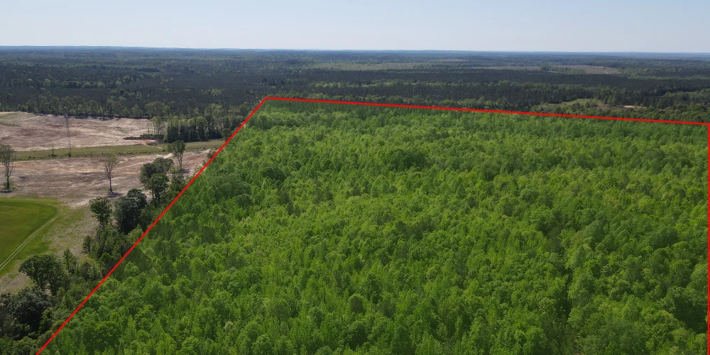 +/-160 Acres Recreation or Timberland