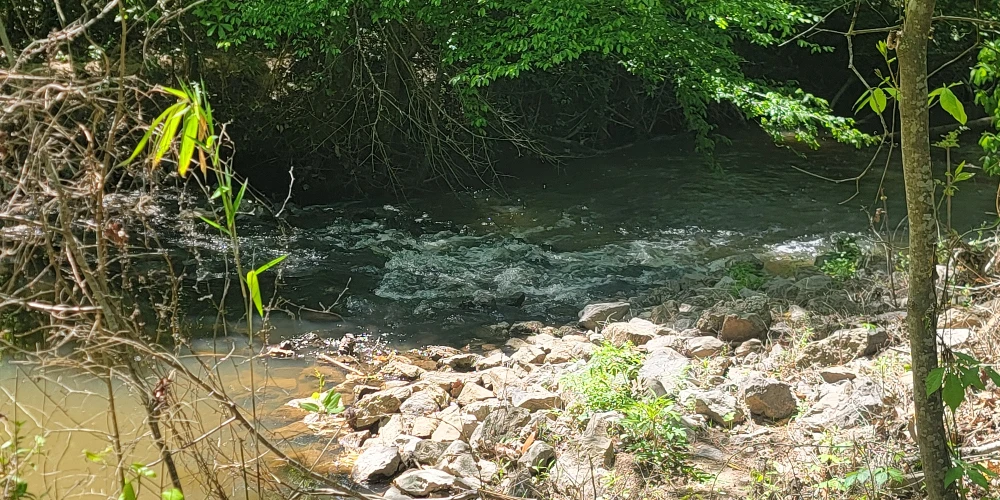 +/-160 Acres Recreation or Timberland