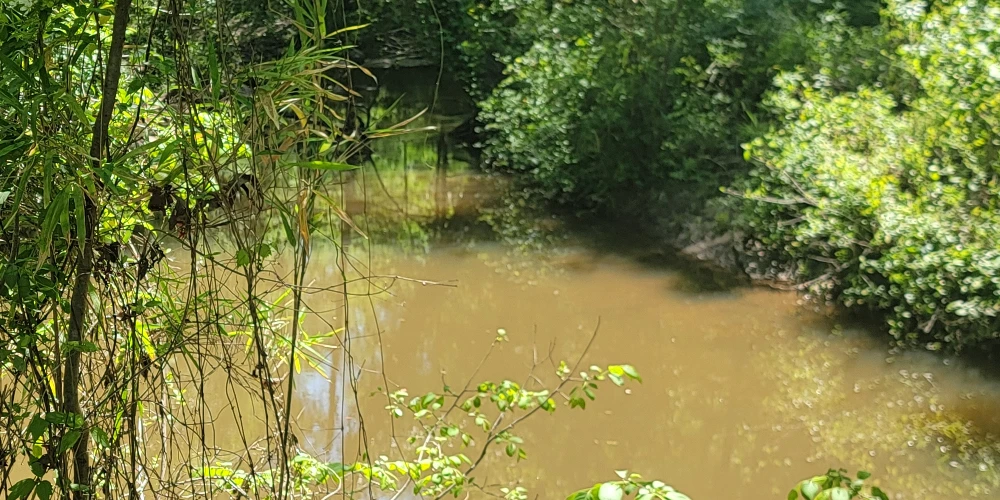+/-160 Acres Recreation or Timberland