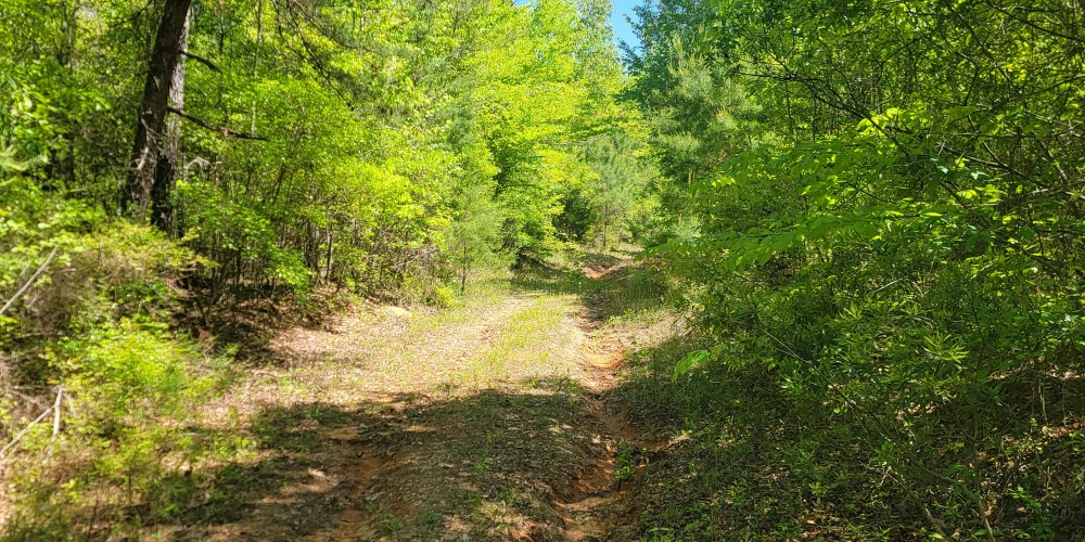 +/-160 Acres Recreation or Timberland