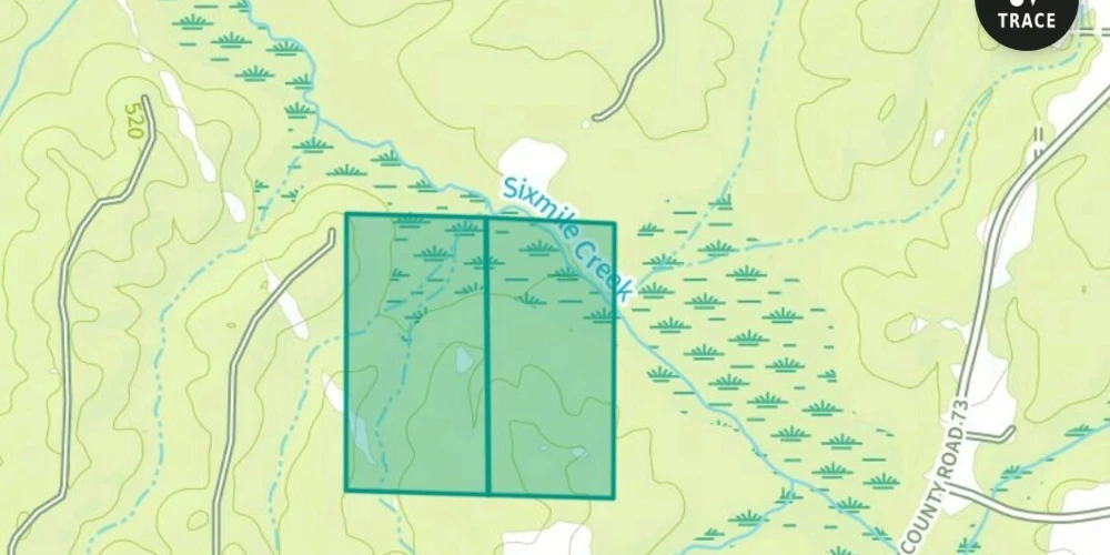 +/-160 Acres Recreation or Timberland