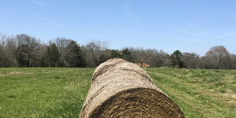 209.563 Acres Adjacent to and on the I-77 Interstate Corridor 40 Minutes South of Charlotte w/ 5 MWs Now Developable Tract