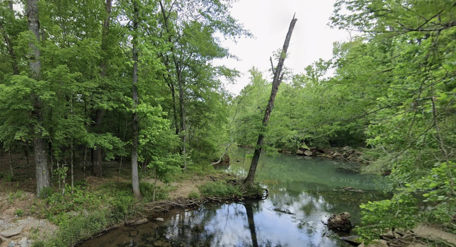 409 Ac Recreational Hunting Land