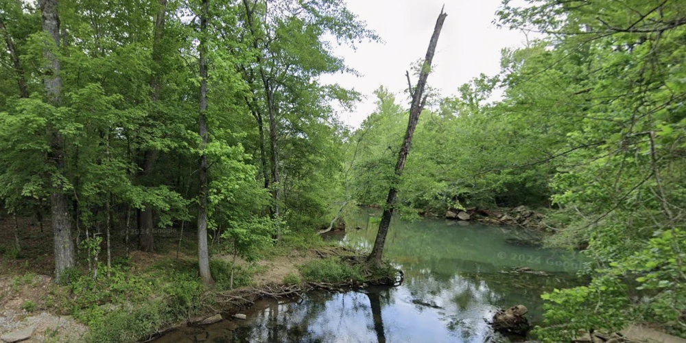 409 Ac Recreational Hunting Land