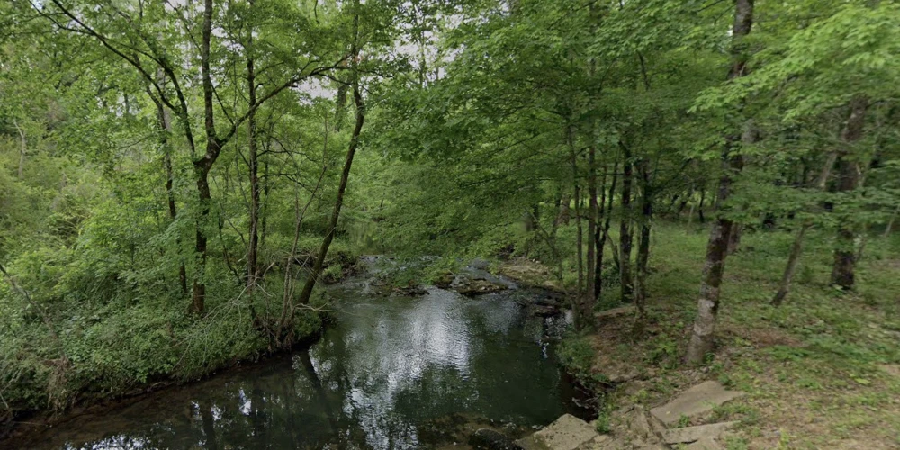 409 Ac Recreational Hunting Land