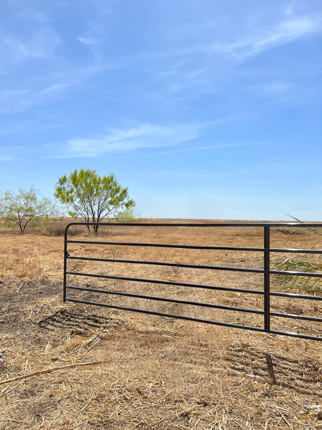Hill Creek Ranches