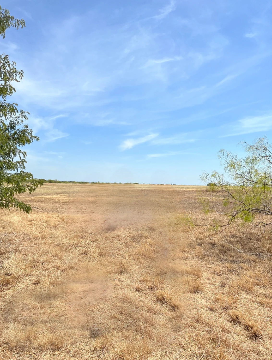 Hill Creek Ranches