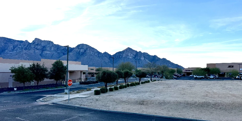 Placita De Oro