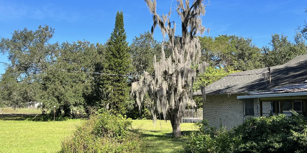 1.30 Acres of Commercial 540A Lakeland, FL