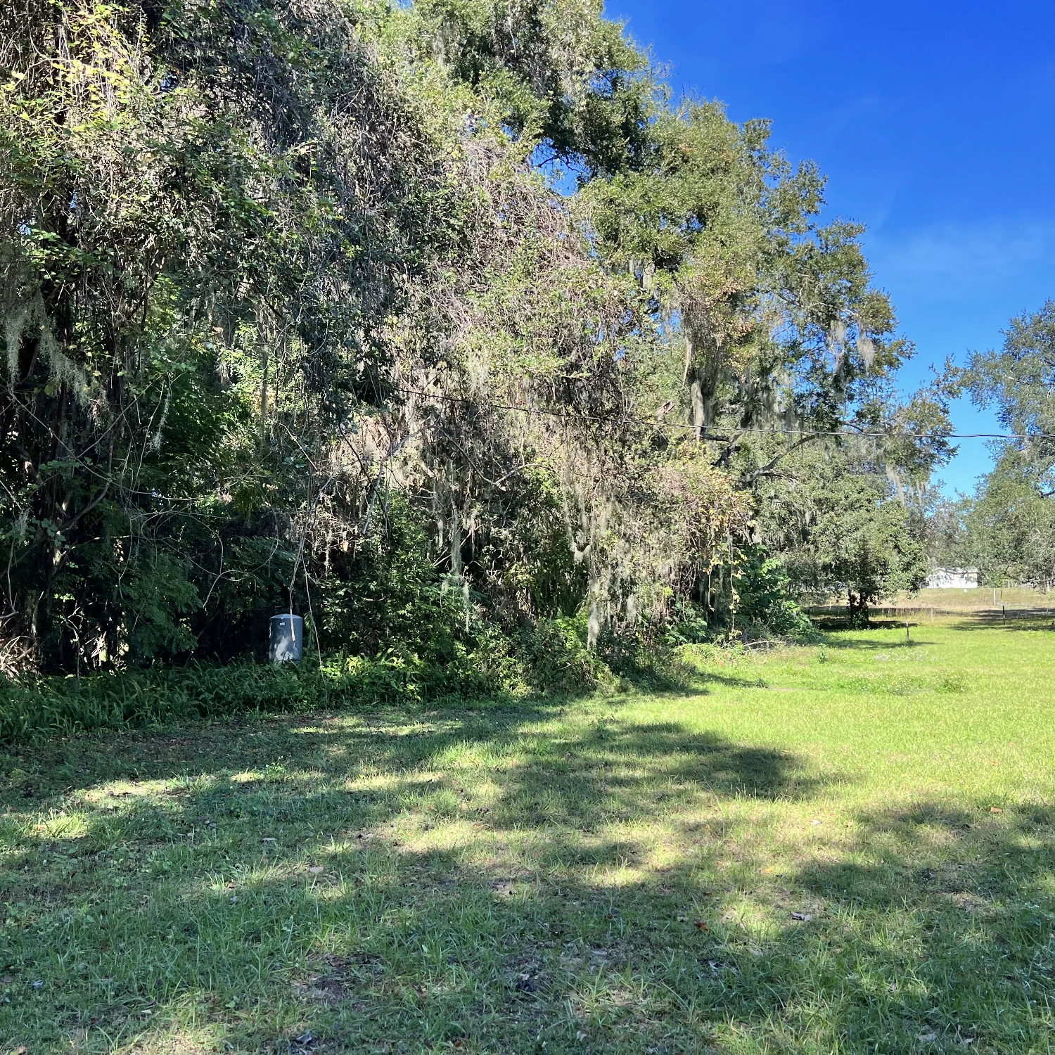 1.30 Acres of Commercial 540A Lakeland, FL