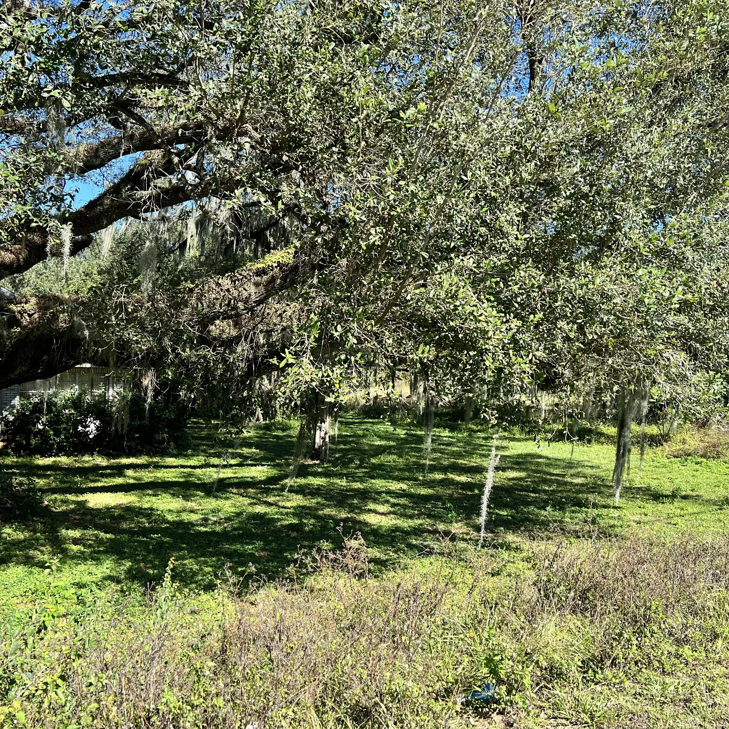 1.30 Acres of Commercial 540A Lakeland, FL