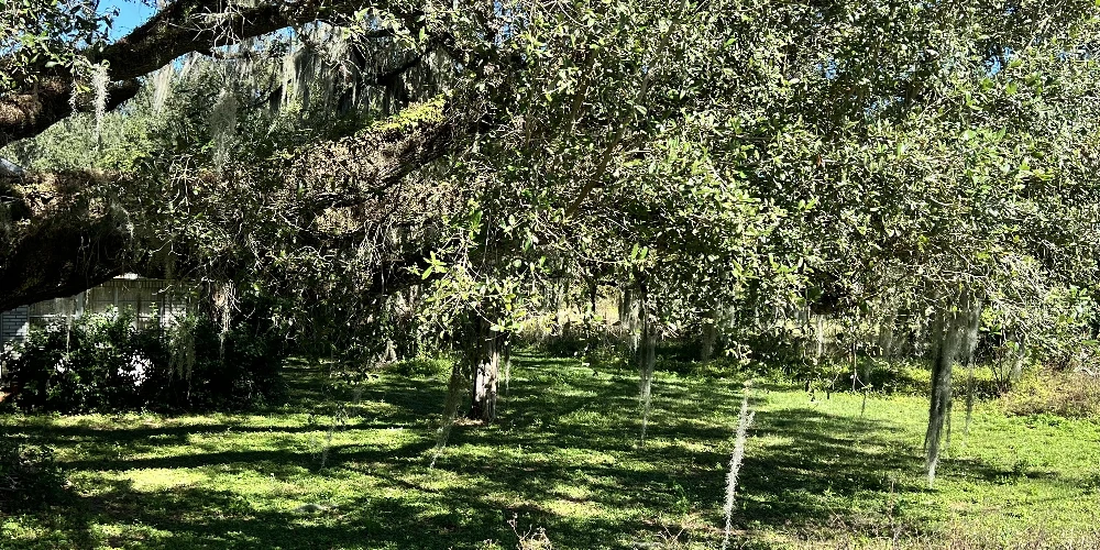 1.30 Acres of Commercial 540A Lakeland, FL