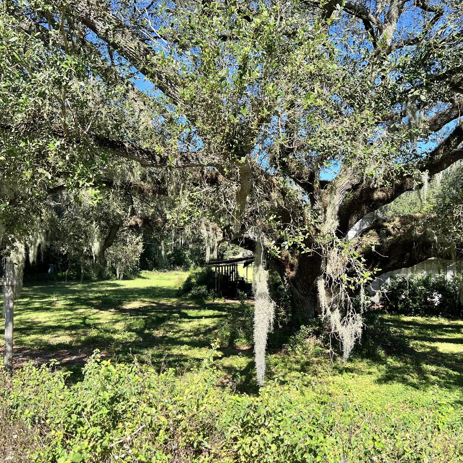 1.30 Acres of Commercial 540A Lakeland, FL