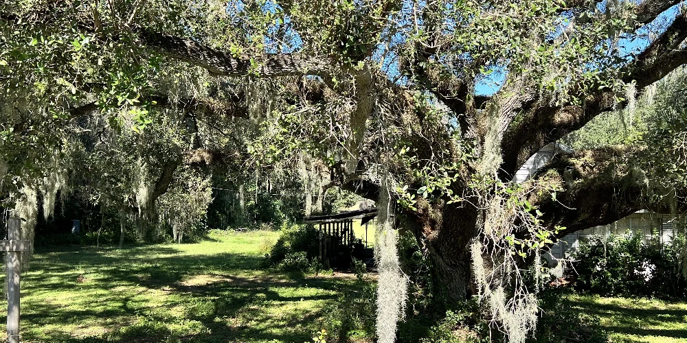 1.30 Acres of Commercial 540A Lakeland, FL