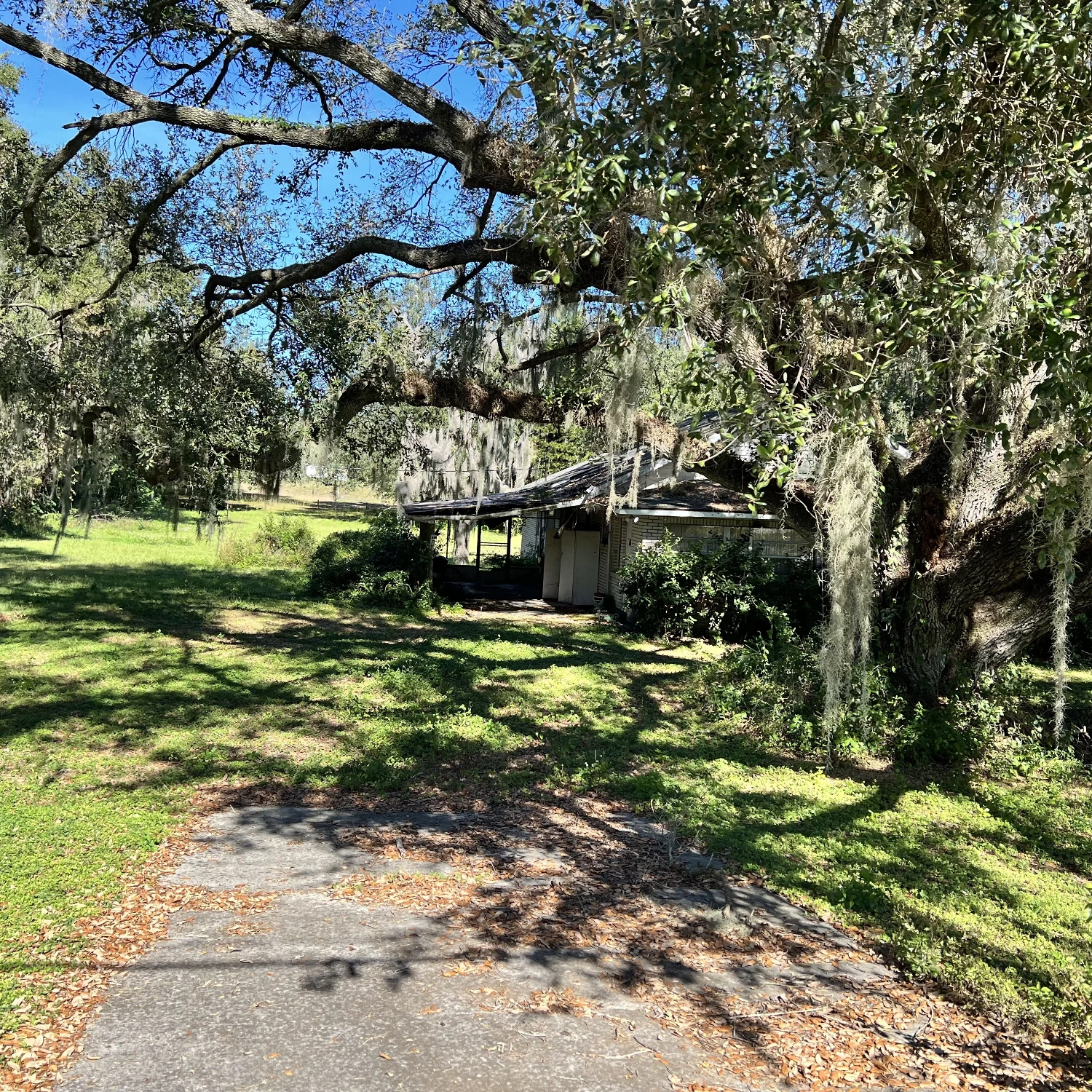 1.30 Acres of Commercial 540A Lakeland, FL