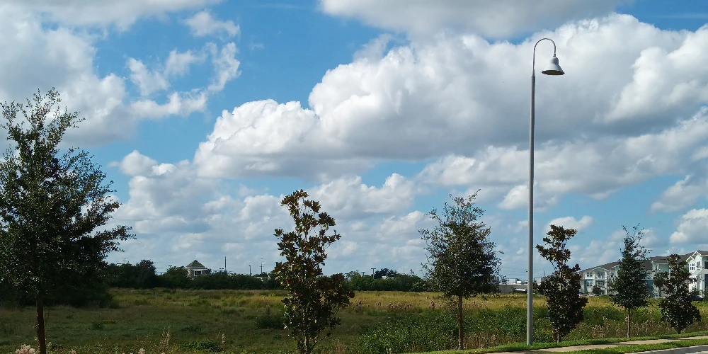 12.4 Acre Commercial Site Behind Publix