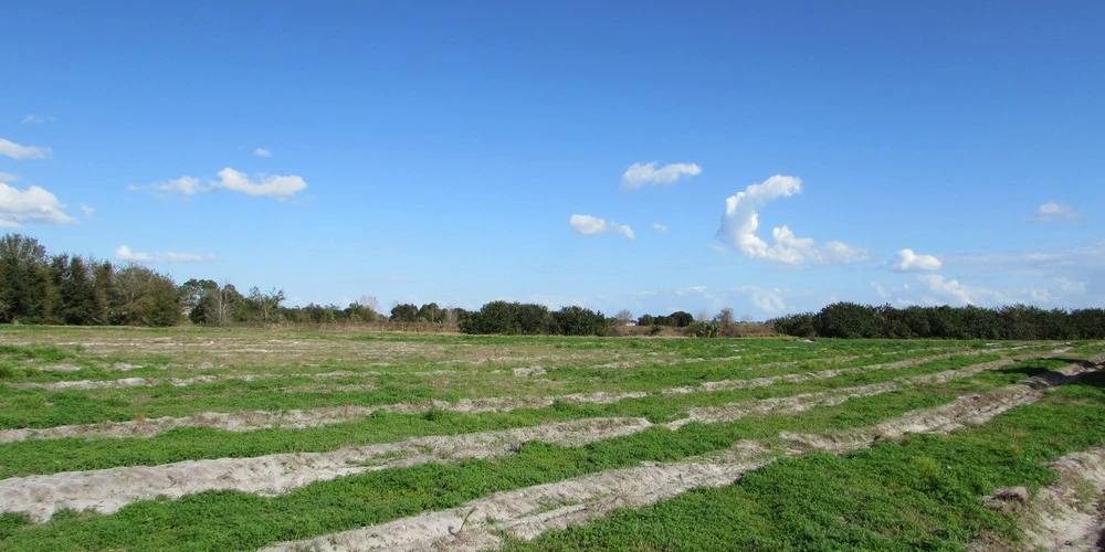 200 Acres of Commercial & Residential Development Lake Wales, FL