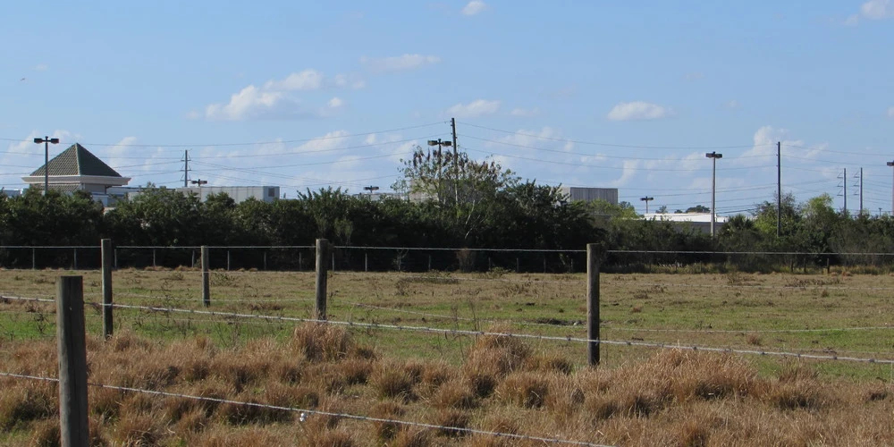 200 Acres of Commercial & Residential Development Lake Wales, FL