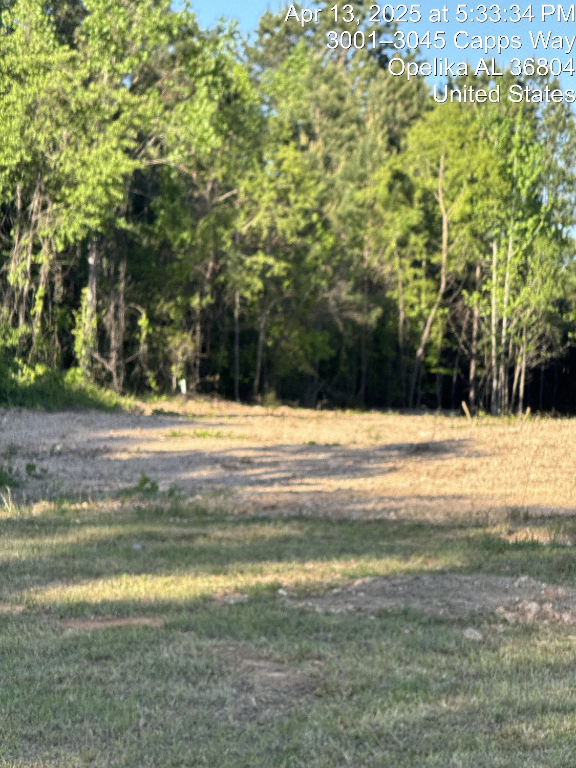 3021 CAPPS WAY, AUBURN AL,EXIT 58,I-85 Retail/ Hotel Development site 