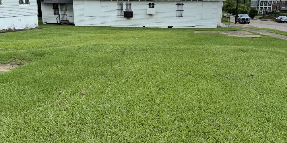 419 N. Bainbridge St. - 0.71 Acre (31,050 SF) Lot , Zoned T-40
