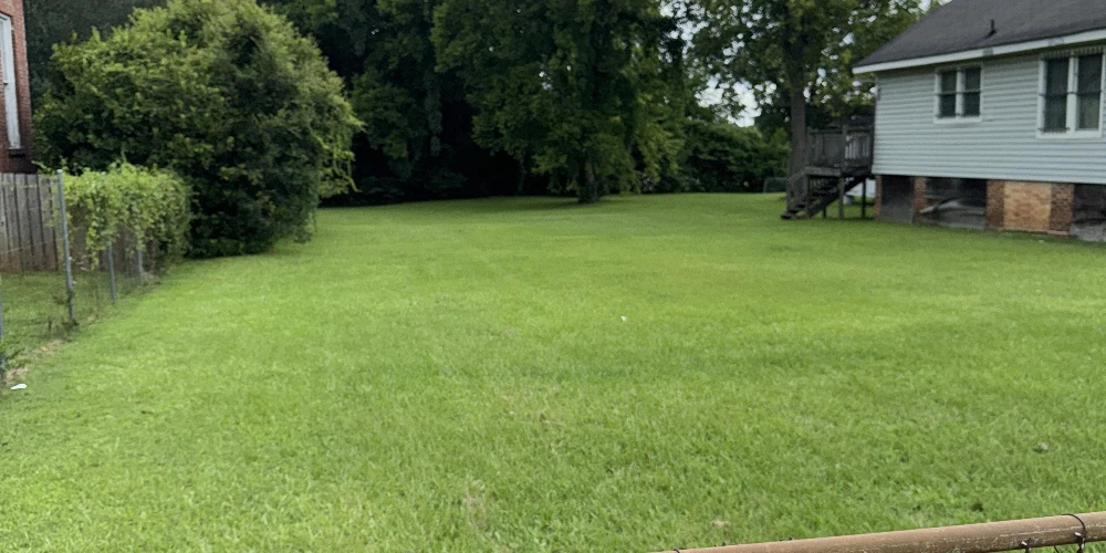 419 N. Bainbridge St. - 0.71 Acre (31,050 SF) Lot , Zoned T-40