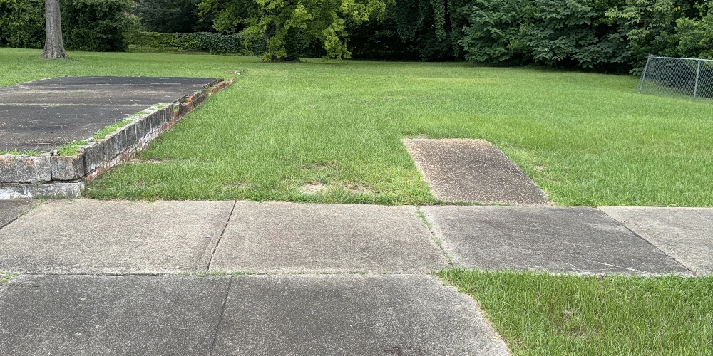 419 N. Bainbridge St. - 0.71 Acre (31,050 SF) Lot , Zoned T-40
