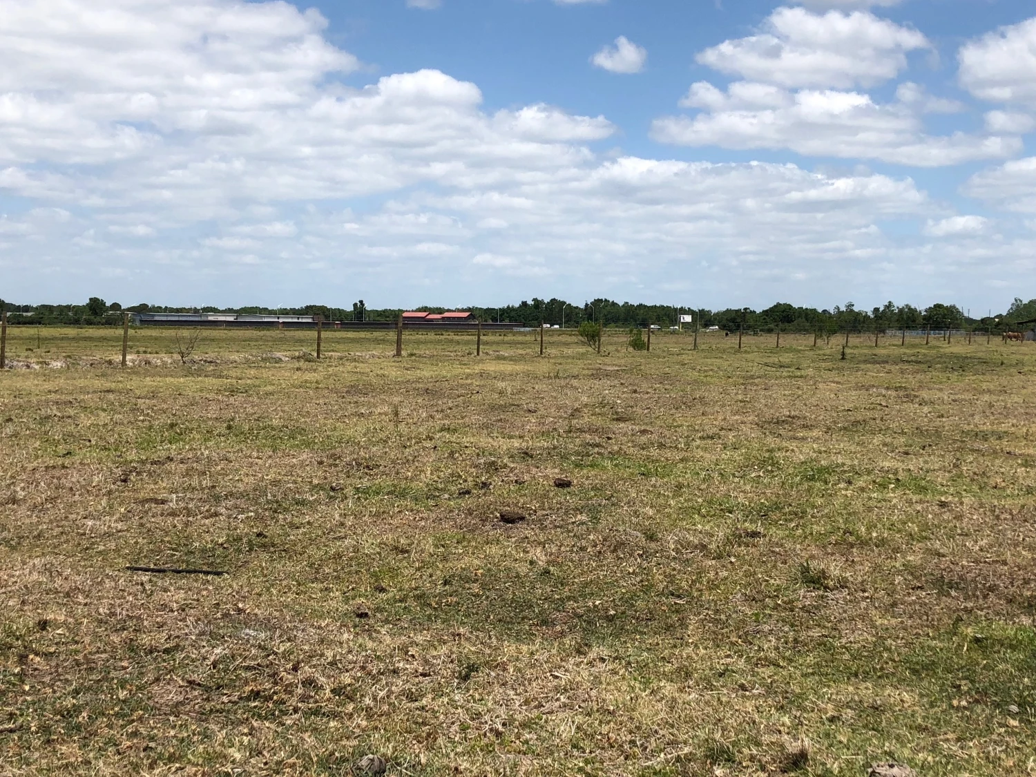 88± Acres | Industrial & Commercial Land Opportunity (Polk County, FL)