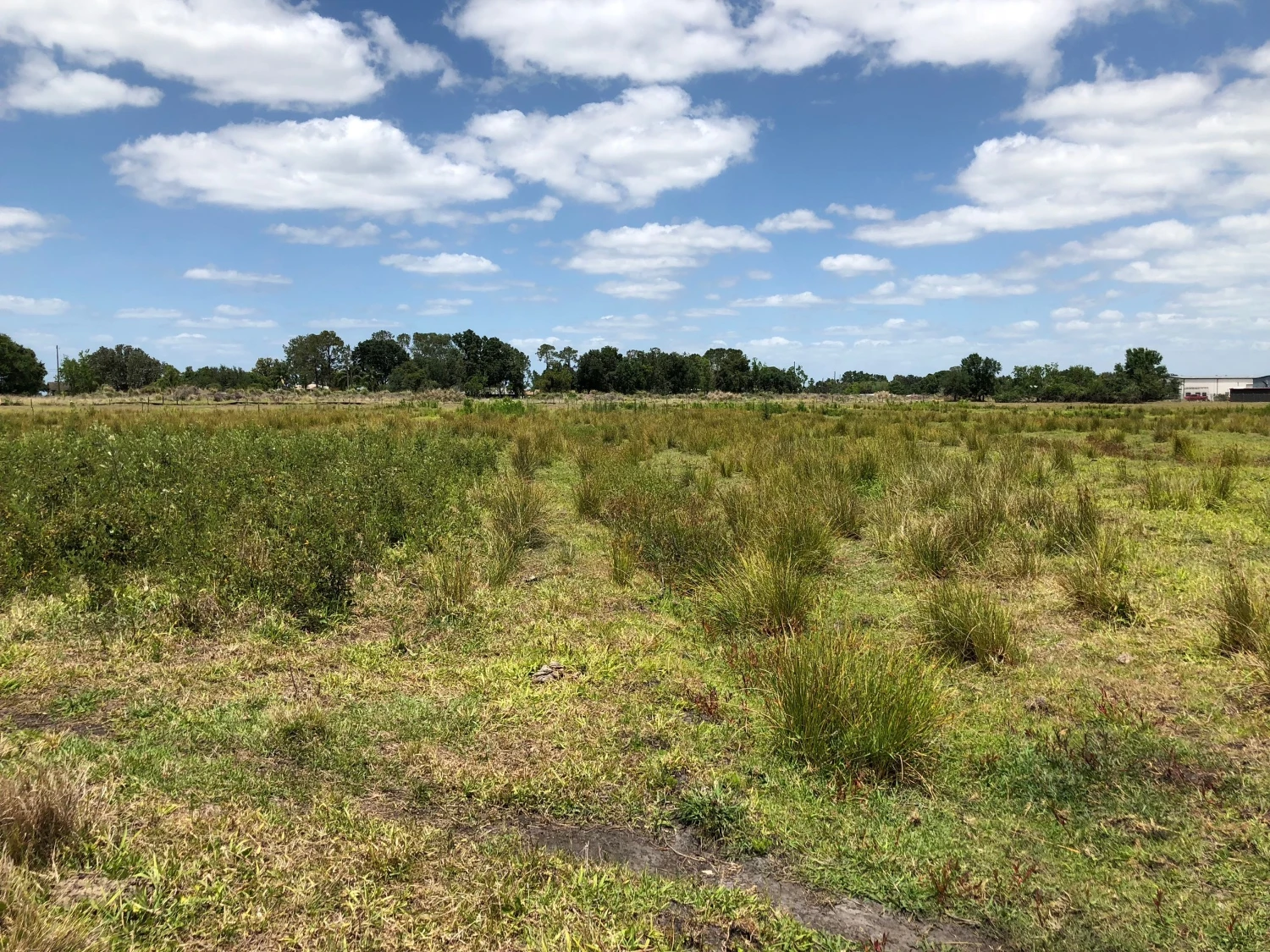 88± Acres | Industrial & Commercial Land Opportunity (Polk County, FL)