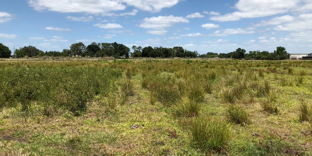 88± Acres | Industrial & Commercial Land Opportunity (Polk County, FL)